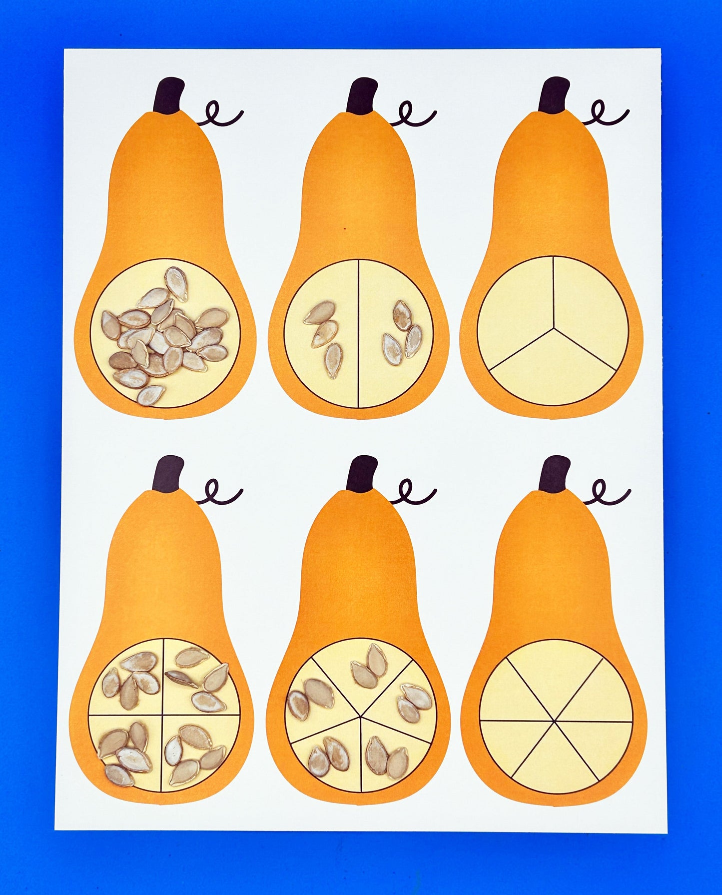 Dividing with Seeds Math Activities