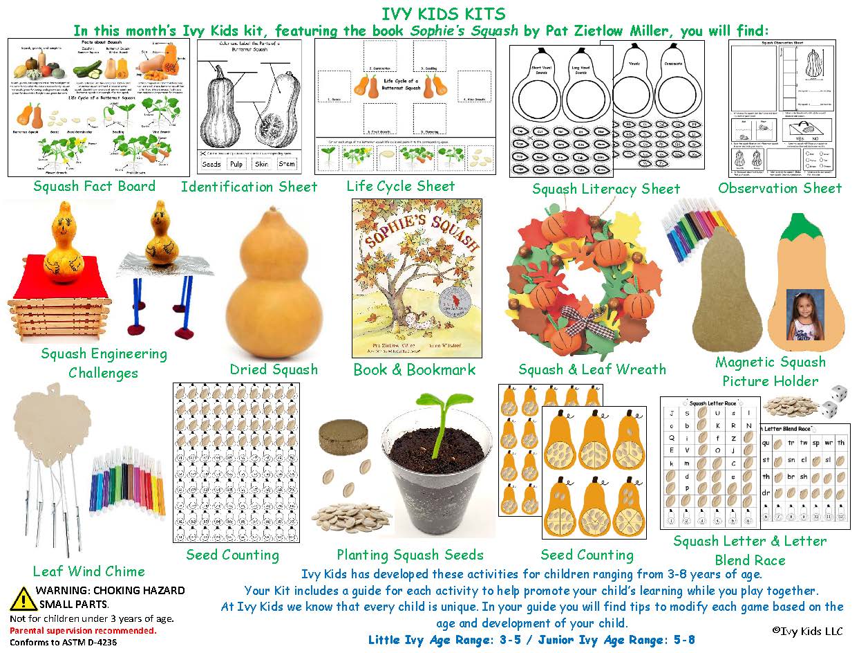 Sophie's Squash themed activities STEM