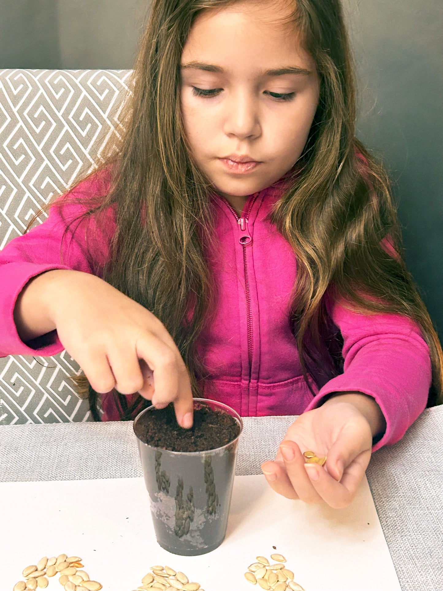 Planting squash seeds