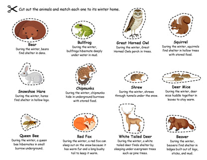 Ivy Kids Kit - Over and Under the Snow