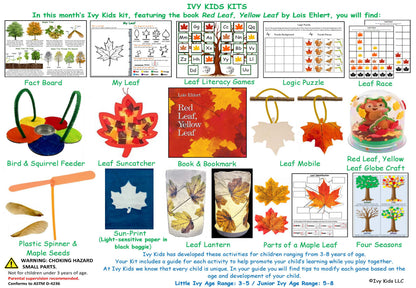 Fall STEM kids activities inspired by the book Red Leaf, Yellow Leaf. Sun catcher, leaf mobile, leaf lantern, fall glitter globe, sun prints, seeds, maple leaves and a bird feeder