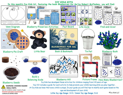 STEM Activities based on Blueberries for Sal