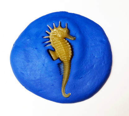 Clay imprints of sea creatures