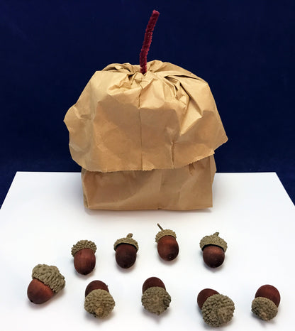 Ivy Kids Kit - Nuts to You!