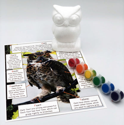 Ivy Kids Kit - Good-Night, Owl!