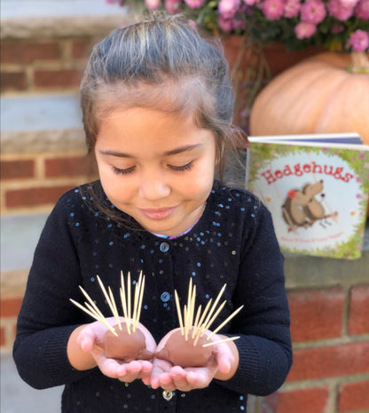 Hedgehog clay and toothpick activity