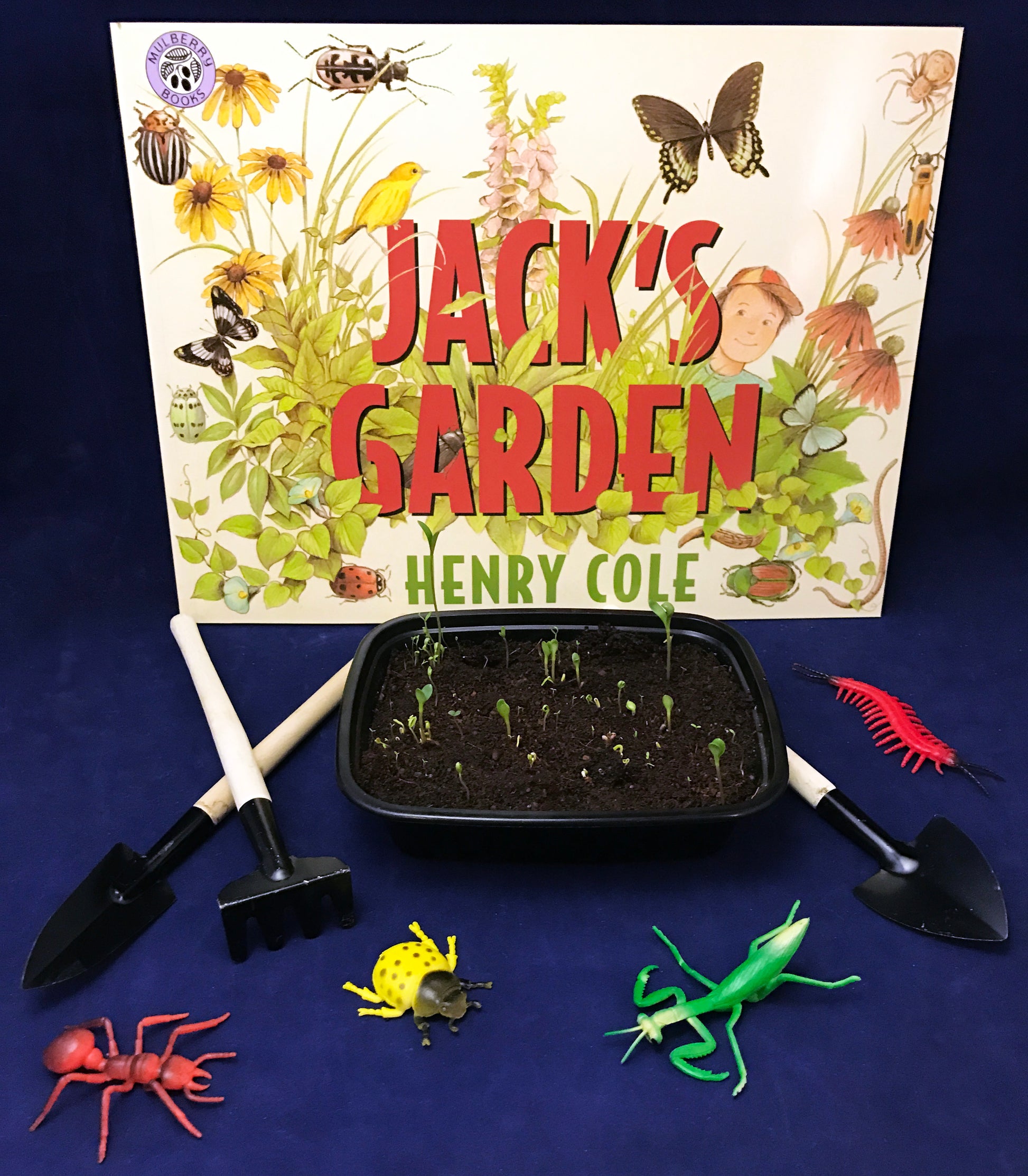 activities inspired by the book Jack's Garden. Springtime and planting activities for children