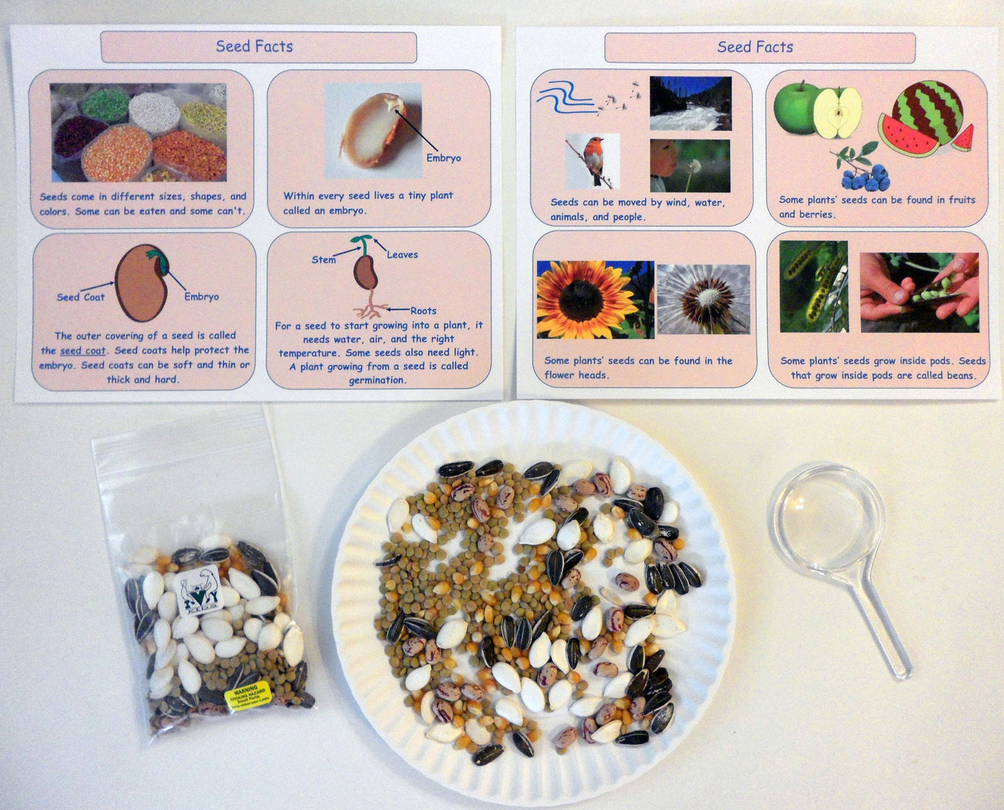 Ivy Kids Kit - The Tiny Seed