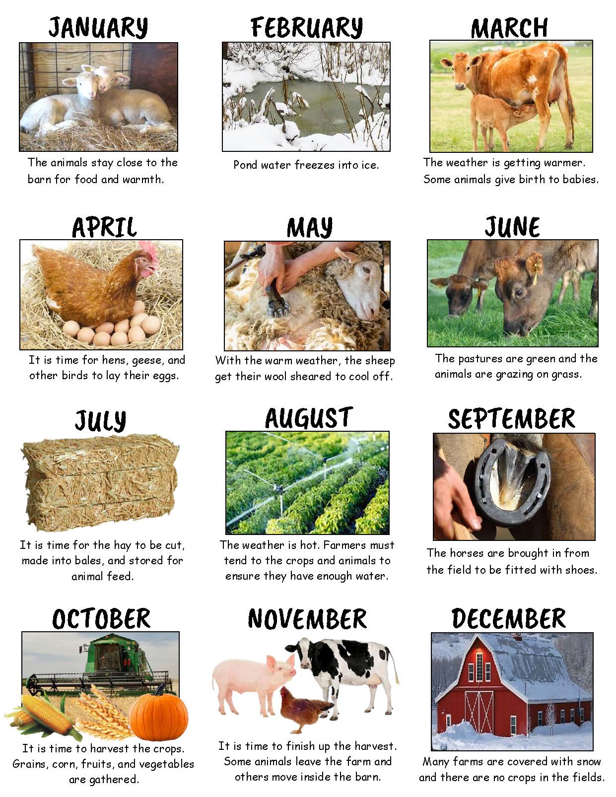 Ivy Kids Kit - The Year at Maple Hill Farm