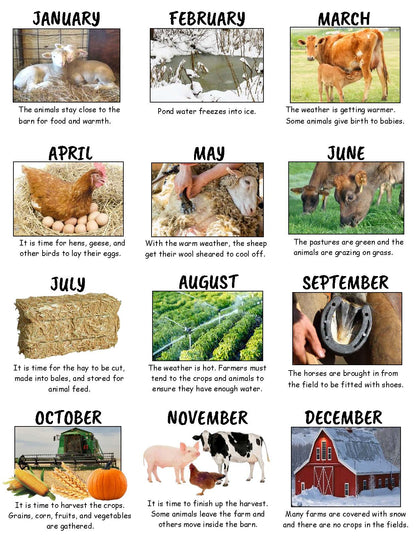 Ivy Kids Kit - The Year at Maple Hill Farm