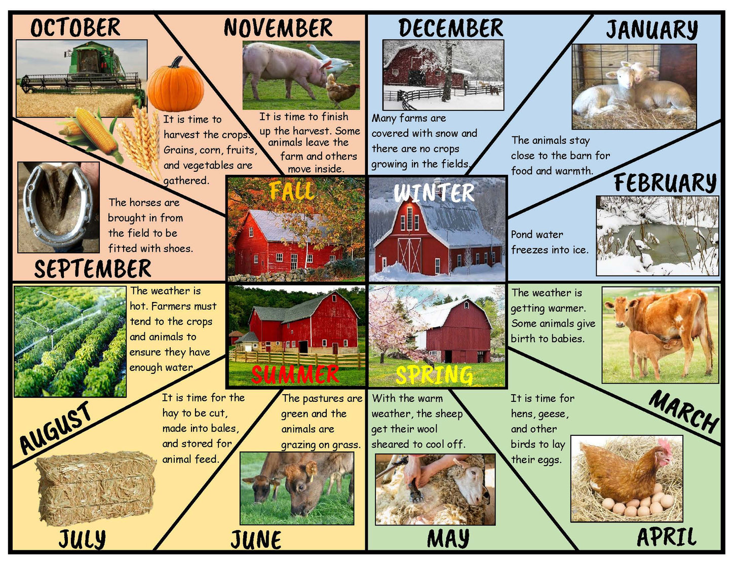 Ivy Kids Kit - The Year at Maple Hill Farm