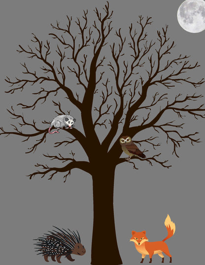 Ivy Kids Kit - Forest Bright Forest Night