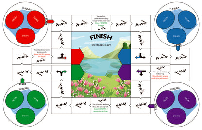 Swan migration board game